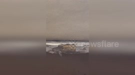 Shocked passenger shows repulsive state of first class cabin on Air India flight