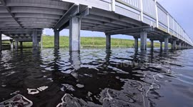 Slow motion footage of inside alligator's mouth as it attempts to eat GoPro