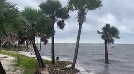US: Hurricane Helene, Strong Winds In Crawfordville, FL