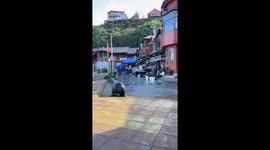 Seal steals fish from vendor in Puerto Montt, Chile