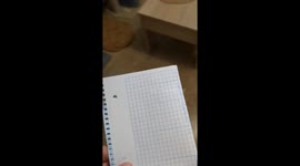 Cat acts as a stapler in Badajoz, Spain