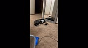 temp
