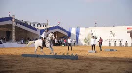 Sharqiya Arabian Horse Festival underway in Egypt
