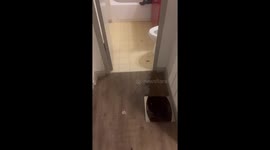 Family discovers water damage after Hurricane Helene hits Georgia