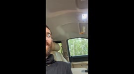 Man films his new best friend - a hover fly that won't leave him alone