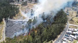 Ecuador: Quito Fires, Million-dollar Investment and Decades to Recover the Ecosystem