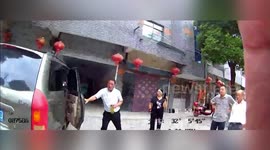 China: Injured Yellow-billed Egret Finds Unusual Refuge in Car, Rescued by Authorities