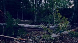 US: Hurricane Helene Causes Widespread Damage In Southeast 2