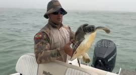 Brazil: Turbo-Charged Turtle Takes Off At High Speed