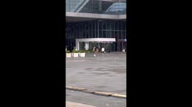 Dog Riding Skateboard to Chase Its Owner