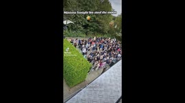 Lads hilariously shout 'MINIONS TONIGHT WE STEAL THE MOON!' on rollercoaster ride in Walibi Holland ranking over 16 million views