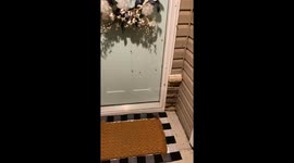 Frogs Surround Front Door