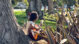 Oakland's Peak Daily Temperature