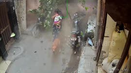 Heroic moment mother saves her child as century-old building collapses - footage shows narrow escape from debris