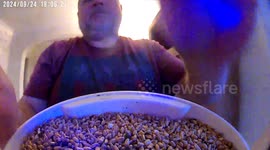 Taking the bird feeder out and not noticing the patio door is closed...