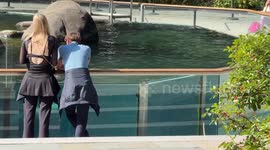 NYC Pleasant Weather