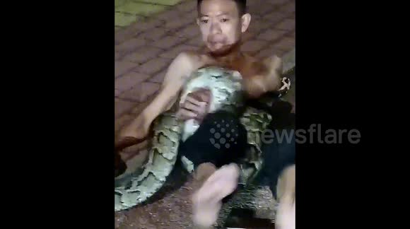 Drunk man constricted by 2-metre python in China, brave firefighters ...