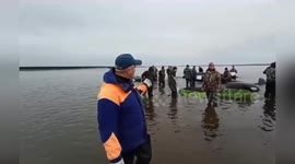 Russia: Dramatic Rescue Operation for Orcas Stranded in Shallow Waters of Kamchatka