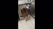 temp