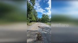 US: Georgia National Guard Battles Nature's Fury in Augusta Aftermath of Hurricane Helene