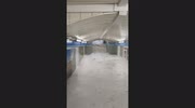 temp