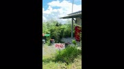 temp