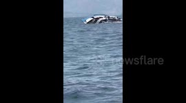 Death toll rises to 87 after ferry sinks in eastern DR Congo: official