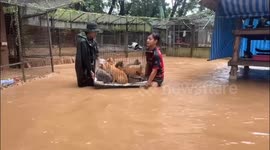 Thailand: In addition to the flooding, ENP lost electricity and now telephone network coverage