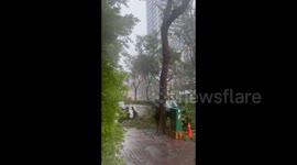 Taiwan: Typhoon Krathon Is Raging in Kaohsiung City