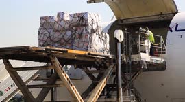 Lebanon: Lebanon receives aid from WHO, UN refugee agency