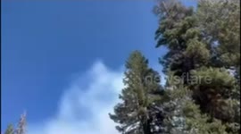 US: Six Tankers Drop Retardant in Stanislaus National Forest