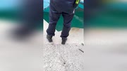 temp