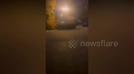 Police arrests naked artist who vandalised WWII tank with red paint