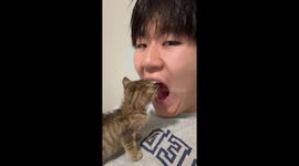 Kitten explores dark cave