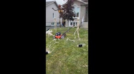 Yard Work Gone Wrong! Daily skeleton scenes in the month of October. Today they decided to mow the lawn. It went terrible wrong.. Filmed on St Michel st in Hanmer Ontario Canada.