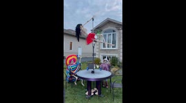 Naughty Skeletons Staring  Exotic Dancer Mercedes Bonay and