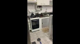 Rodent perched on pressure cooker in Cananéia, Brazil