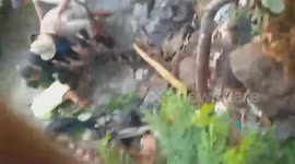 Crocodiles escape from captivity and enter village as fence collapses in storm