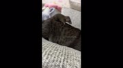 temp