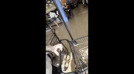 I went to goodwill and saw trophies with the name Phoebe Kong on them. I thought her mom had thrown out her awards when she went to college so I said hey Phoebe, you can come get your trophies heres where they are. I then research Phoebe Kong, and find he