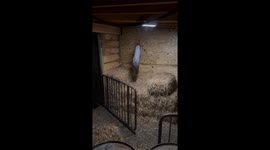 Young VIP guest gets to control the scares at haunted house in North Carolina