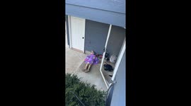 7-Year-old dramatically moves out after request to get along with brothers