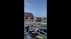 Dog helps pull rope near shore in Arica, Chile