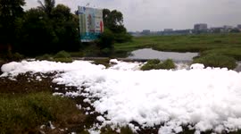 Thick foam forms on lake in India