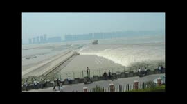Tourists watching tides are knocked down