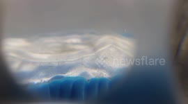 Sea Monkeys - Week 2 (1 of 3)