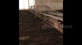 Bio-filter invaded by hundreds of tiny spiders