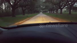 Boone Hall Plantation Avenue of Oaks- Mount Pleasant SC US