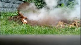 Teddy bear explodes in hydrochloric acid reaction