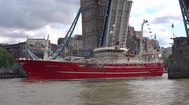 Brexit trawler Christina S goes under open Tower Bridge at the Thames flotilla
